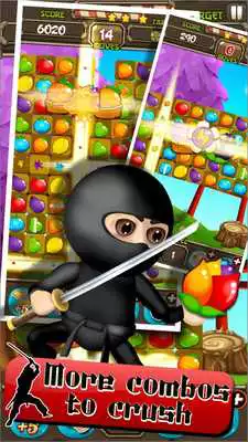 Play Ninja Fruit Saga