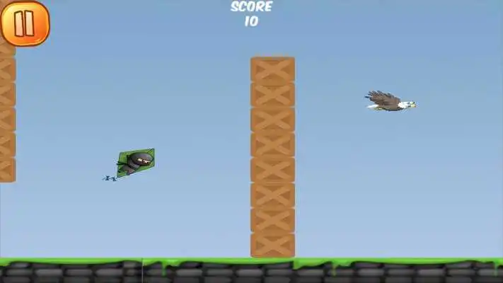 Play Ninja Glider