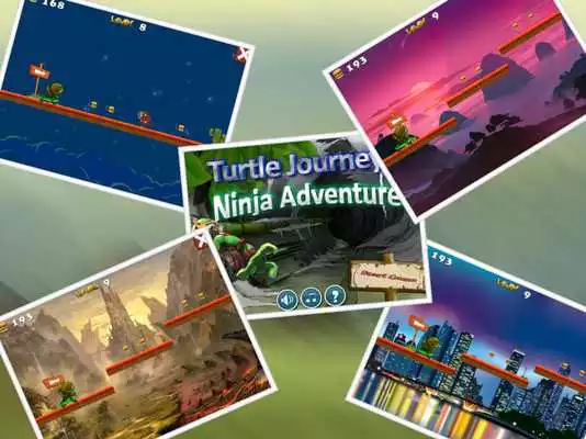 Play ninja jumper turtle