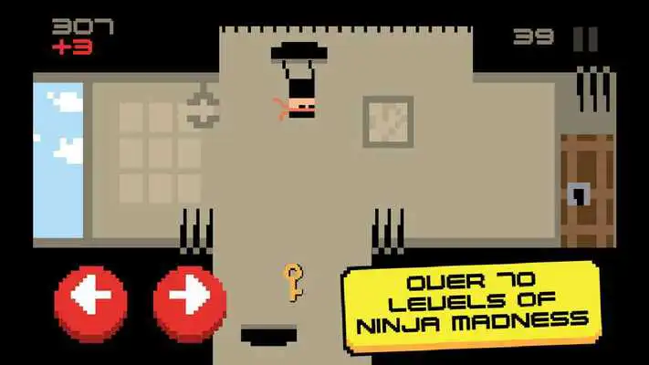 Play Ninja Madness