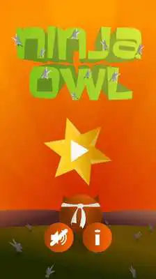 Play Ninja Owl