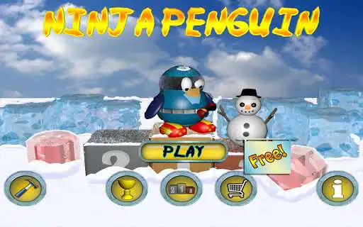 Play Ninja Penguin