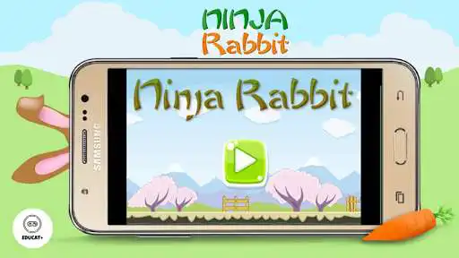 Play Ninja Rabbit