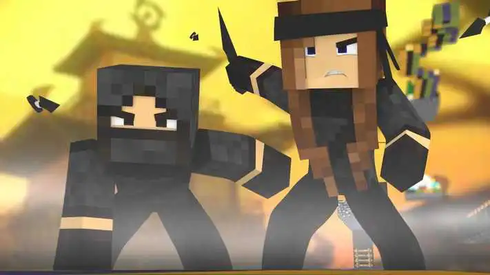 Play Ninja Skins