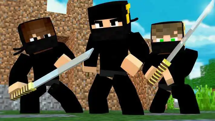 Play Ninja Skins