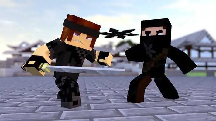 Play Ninja Skins