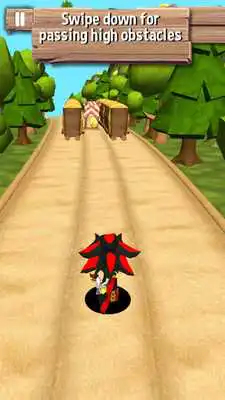 Play Ninja Sonic Running Shadow