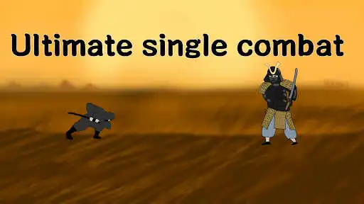 Play Ninja Strike