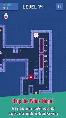 Play Ninja Temple