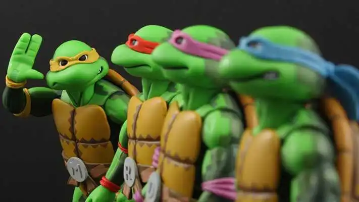 Play Ninja Turtles Battle Shadow
