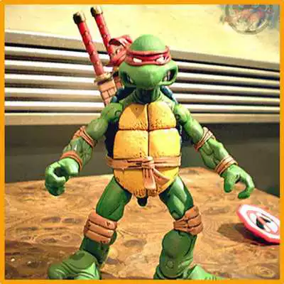 Play Ninja : Turtles Funny Games