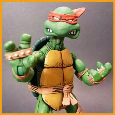 Play Ninja : Turtles Funny Games
