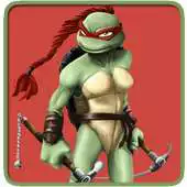 Free play online Ninja Turtles Girls Puzzle APK