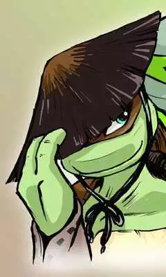 Play Ninja Turtles Girls Puzzle