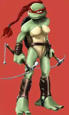 Play Ninja Turtles Girls Puzzle