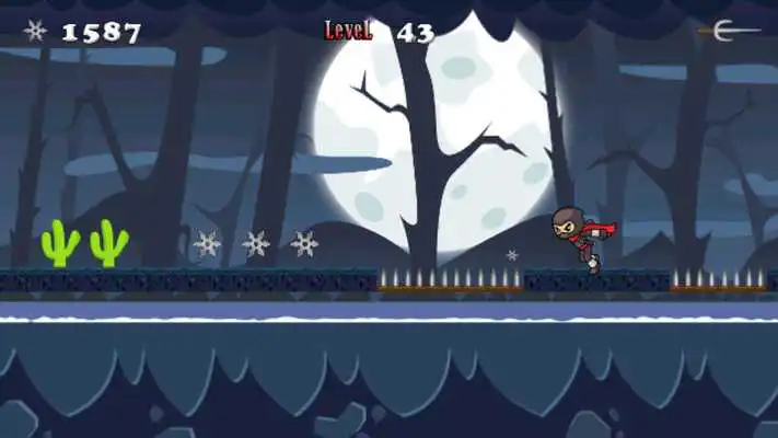 Play Ninja Warrior Adventure Game