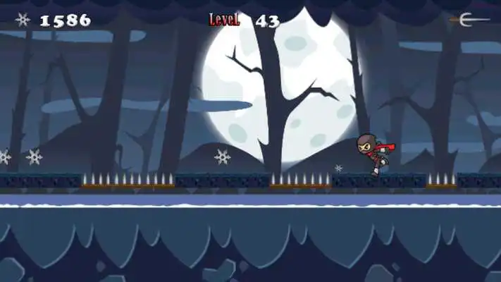 Play Ninja Warrior Adventure Game