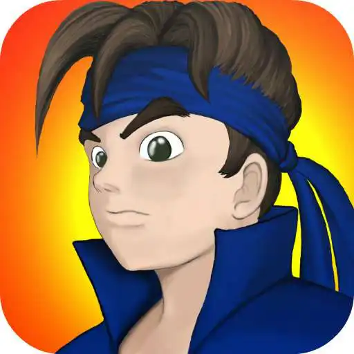 Free play online Ninja Warrior : Dragon Kingdom APK