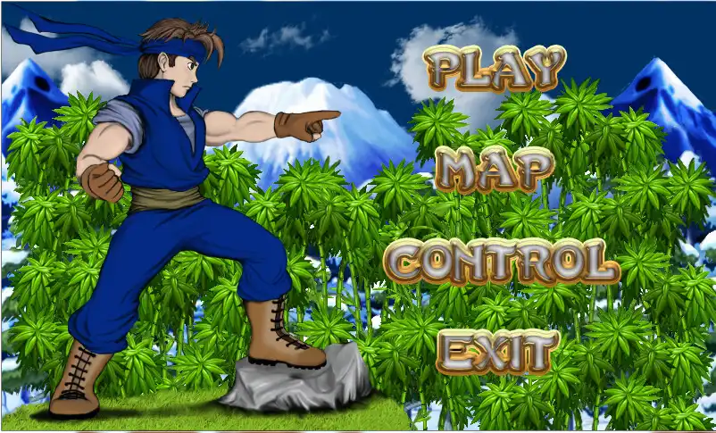 Play Ninja Warrior : Dragon Kingdom