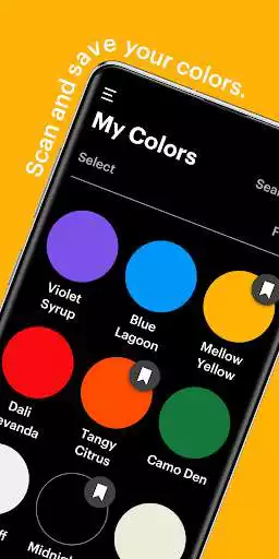 Play Nippon Paint Pico  and enjoy Nippon Paint Pico with UptoPlay