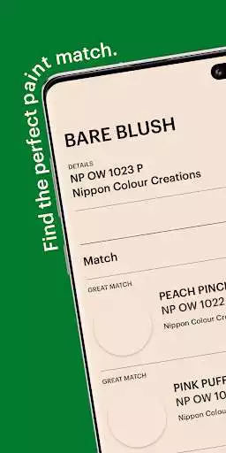 Play Nippon Paint Pico as an online game Nippon Paint Pico with UptoPlay
