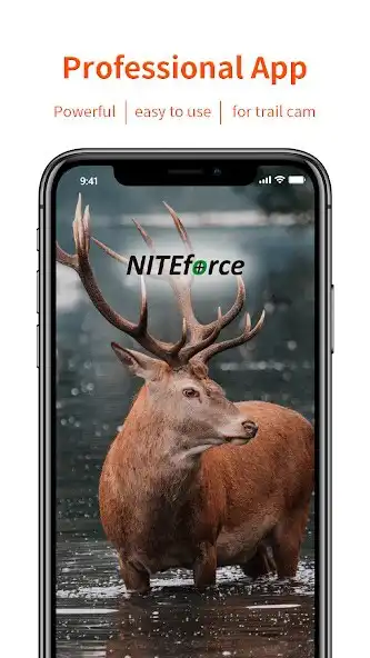 Play NITEforce  and enjoy NITEforce with UptoPlay