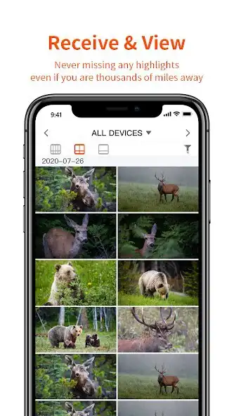 Play NITEforce as an online game NITEforce with UptoPlay