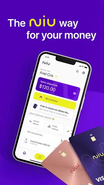 Play Niu: Your money, cards,  more  and enjoy Niu: Your money, cards,  more with UptoPlay