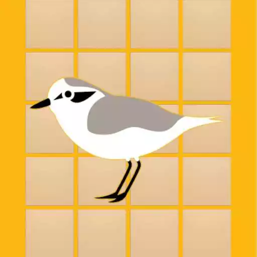 Play NIVA Memorama6 APK Play NIVA Memorama6 APK