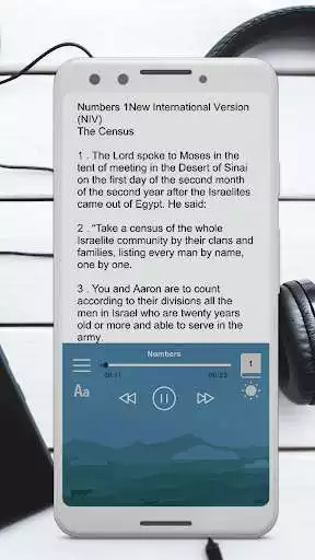 Play NIV Bible Free play online