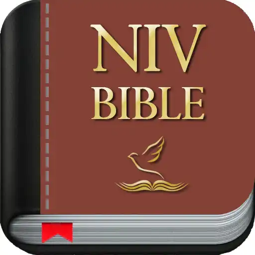 Play NIV Bible Offline in English APK