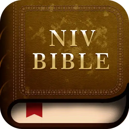Play NIV Bible study Offline APK Play NIV Bible study Offline APK