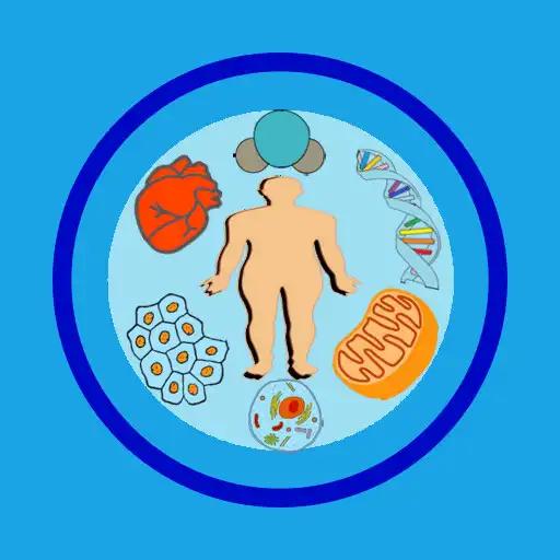 Play Niveles de la Materia APK Play Niveles de la Materia APK
