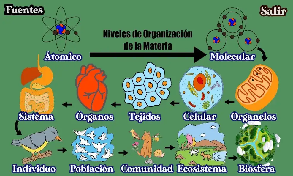 Play Niveles de la Materia as an online game Niveles de la Materia with UptoPlay