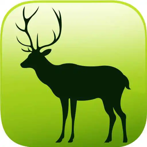 Run free android online NMBANIMAL3D - Nanmeebooks APK