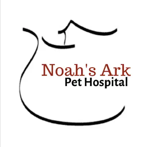 Play Noahs Ark Pet Hospital APK