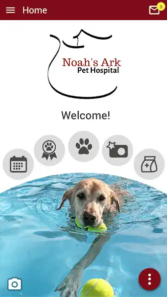 Play Noahs Ark Pet Hospital as an online game online Noahs Ark Pet Hospital with UptoPlay Play Noahs Ark Pet Hospital as an online game Noahs Ark Pet Hospital with UptoPlay