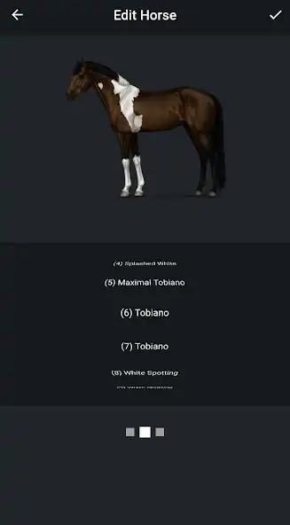 Play NOBLE HORSE DESIGNER  and enjoy NOBLE HORSE DESIGNER with UptoPlay