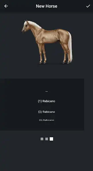 Play NOBLE HORSE DESIGNER as an online game NOBLE HORSE DESIGNER with UptoPlay