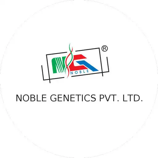 Play Noble Team APK Play Noble Team APK