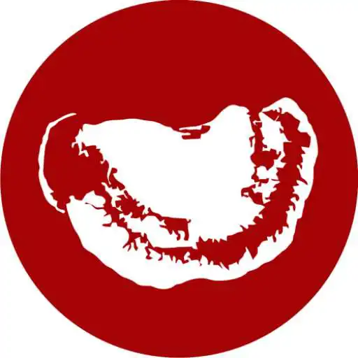 Play Nogan App APK Play Nogan App APK