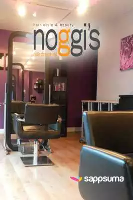 Play Noggis Hairdressing