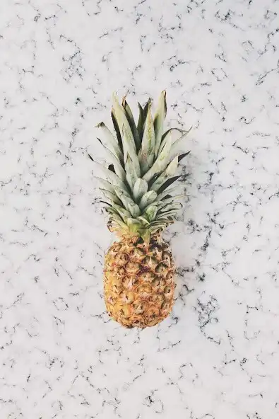 Play Nokia X21 as an online game Nokia X21 with UptoPlay