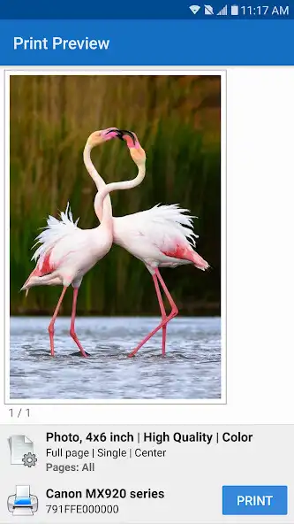 Play NokoPrint - Mobile Printing as an online game NokoPrint - Mobile Printing with UptoPlay