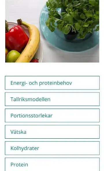 Play Nollvision undernäring as an online game Nollvision undernäring with UptoPlay