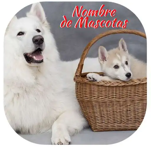 Play Nombres de Mascotas APK Play Nombres de Mascotas APK
