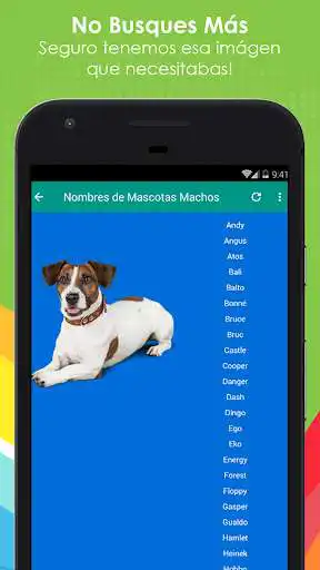 Play Nombres de Mascotas as an online game Nombres de Mascotas with UptoPlay