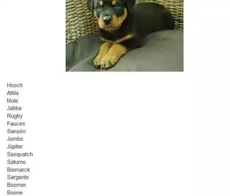 Play Nombres para perros rottweiler