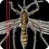Free play online No Mosquito APK