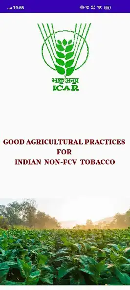 Play NON-FCV TOBACCO  and enjoy NON-FCV TOBACCO with UptoPlay